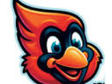 Cardinal Heating, Cooling, Plumbing & Electric logo